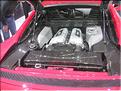 DSCN9759